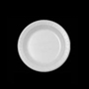Concord® White Standard Foam Plate 10.25" cs/500