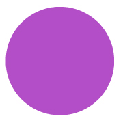 Inventory Label 1.5" Purple Circle roll/500