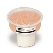 Fragrance Cassette® with Odor-Absorbing Gel cs/6 Cinnamon Spice