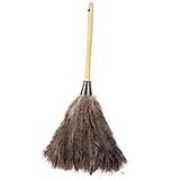 Premium Ostrich Feather Duster 20" 1/ea