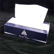 Boardwalk 2-Ply Facial Tissue - cs/3000