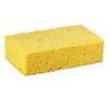 BXRI Sponges