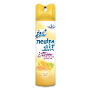 BXTG Aerosol Air Sanitizers & Deodorizers